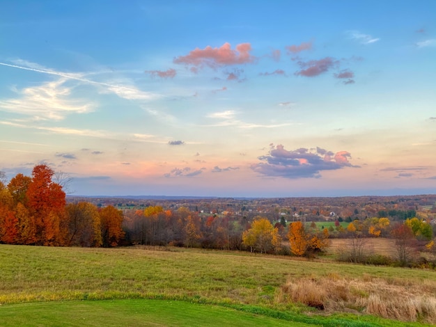 Gratis foto landschap van weide met groene velden en herfstbomen tijdens een zonnige dag