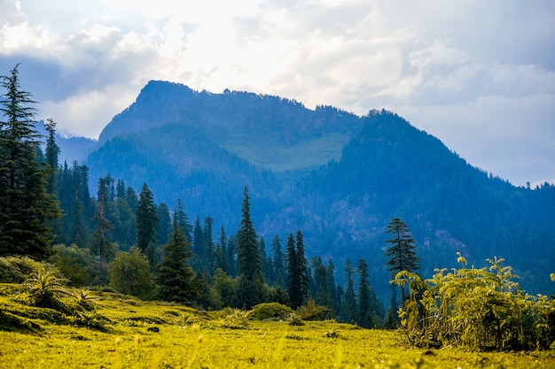 Landschapsmening van de velden en de Manali-bergen in India