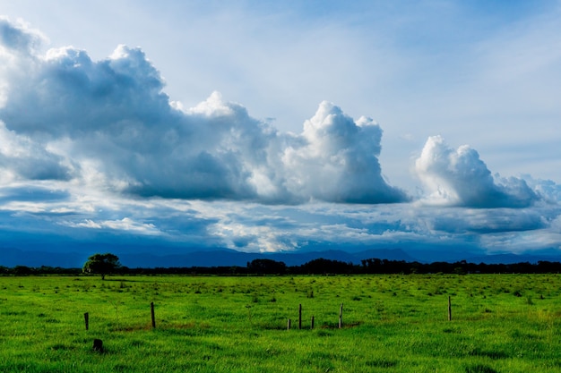 Landschapsopname van prachtige wolken in de blauwe lucht boven een groene weide