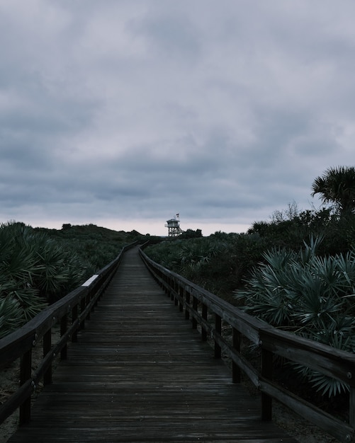 Lang shot van een voetbrug omgeven door suikerpalm op een strand onder bewolkte luchten