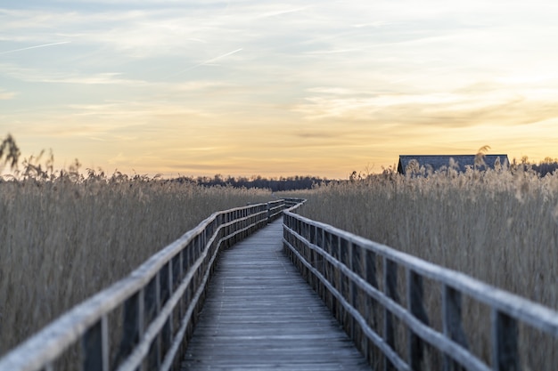 Lange houten pier omgeven door gras tijdens de zonsondergang