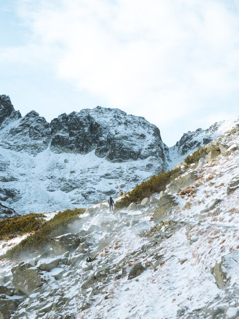 Lange verticale opname van een winterlandschap met een man die wandelt in het Tatra-gebergte in Polen