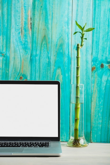Laptop met het lege witte scherm voor turkoois gekleurde houten muur