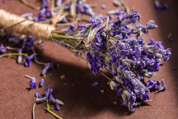 Lavendel bloemen bos