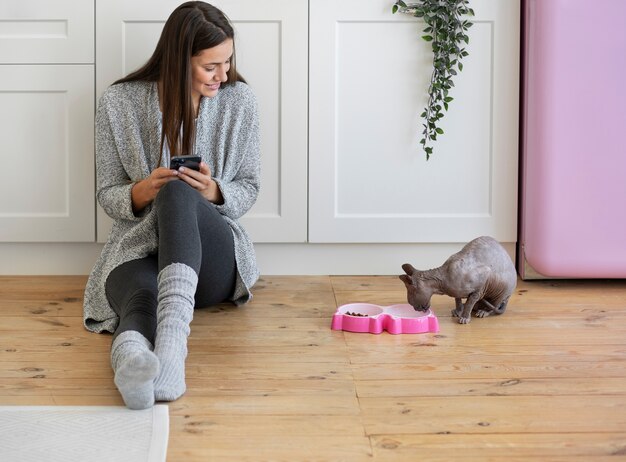 Leefstijl en portretten van huisdierenkatten