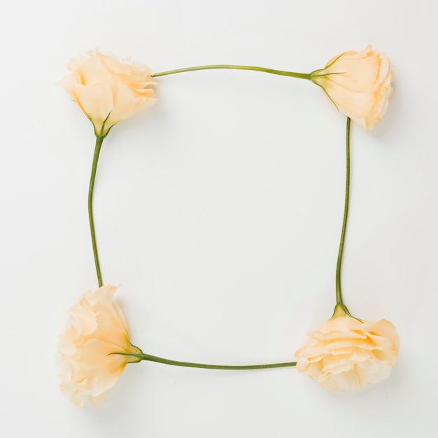 Gratis foto leeg frame gemaakt met bloemen op witte achtergrond