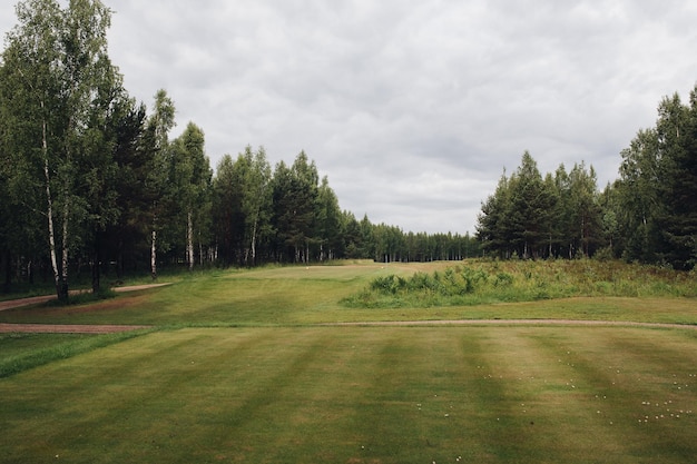 Gratis foto leeg groen park bij bewolkt weer schilderachtig uitzicht op het gazon van het groene zomerpark omringd door bomen op bewolkte dag nobody