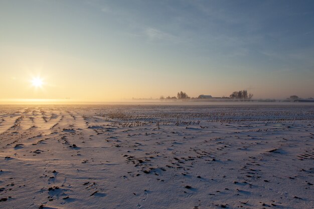 Leeg sneeuwgebied met mist onder een blauwe hemel