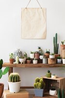 Lege canvas poster die over een plank vol cactussen en vetplanten hangt