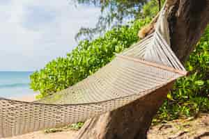 Gratis foto lege hangmat op tropisch strand zee oceaan voor vrije tijd ontspannen in vakantiereizen