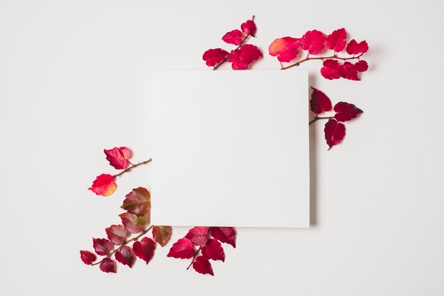 Lege kopie ruimte met paarse herfstbladeren frame