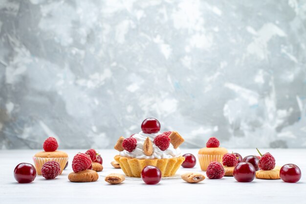 lekkere kleine cakes met frambozen en room samen met koekjes en cakes op licht