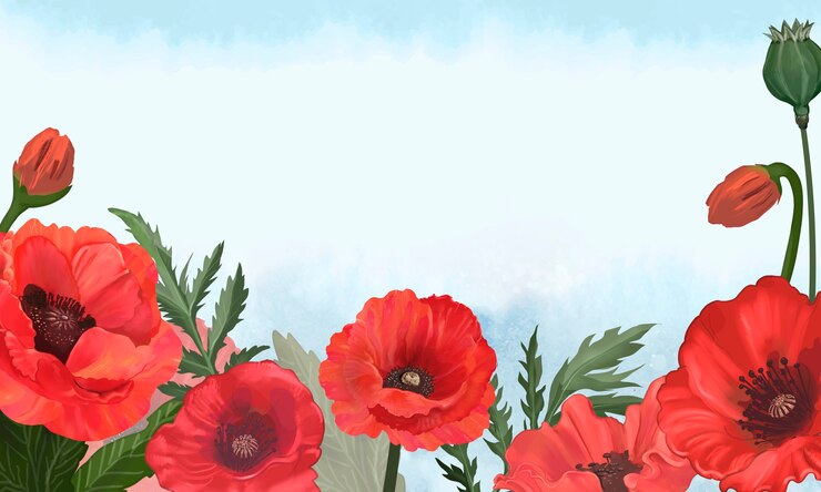 Gratis Foto lente achtergrond met papaver rand