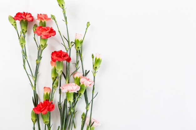 Gratis foto lente bloemen achtergrond met copyspace