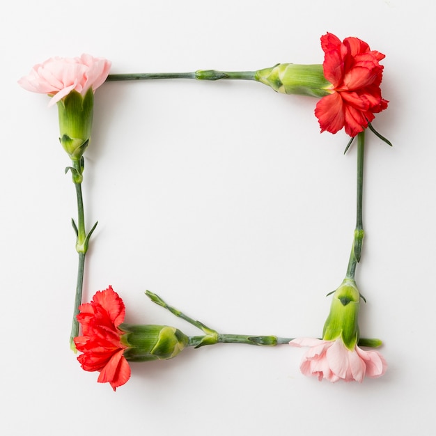 Gratis foto lente bloemen achtergrond met frame concept