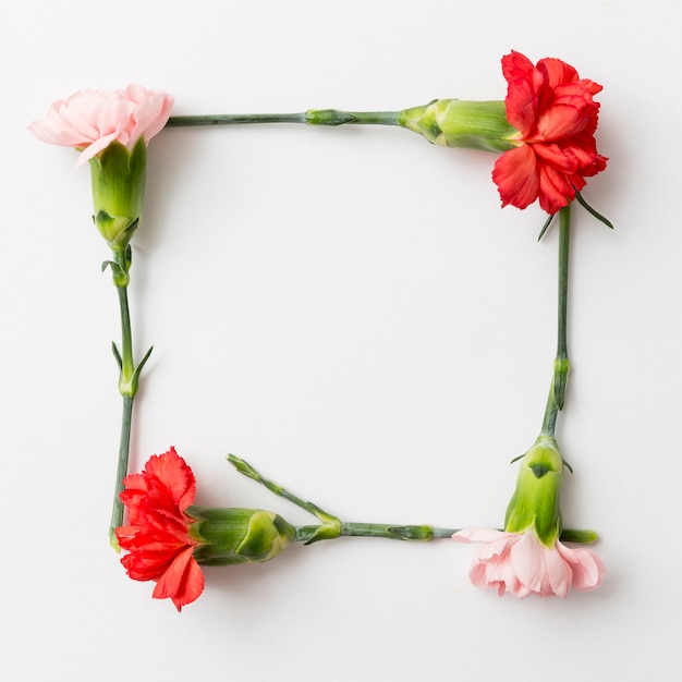 Lente bloemen achtergrond met frame concept