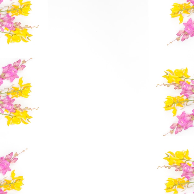 Lente bloemen frame