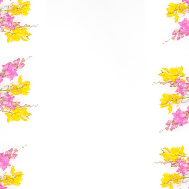 Lente bloemen frame