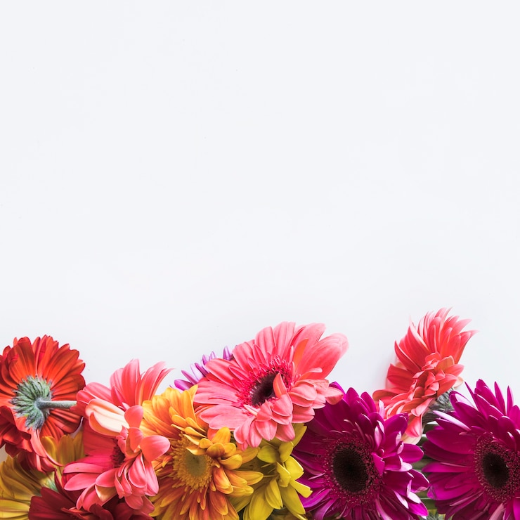 Gratis Foto lente concept met bloemen op bodem