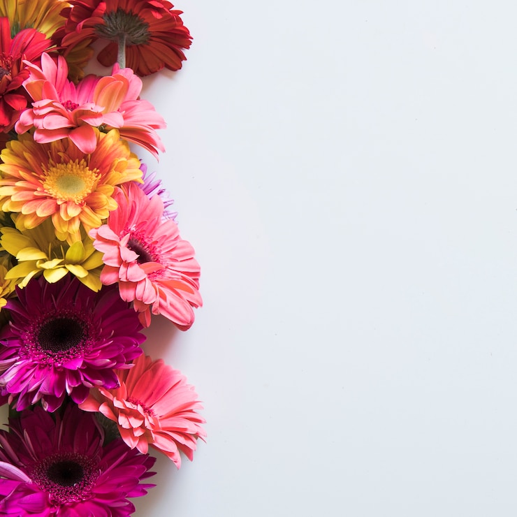 Gratis Foto lente concept met kleurrijke bloemen aan de rechterkant