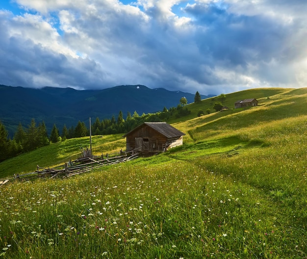 Lente in de Alpen