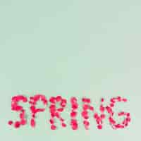 Gratis foto lente schrijven van heldere bloembladen
