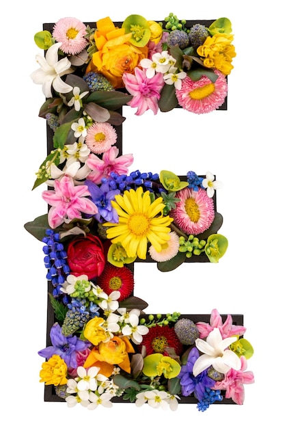 Letter e gemaakt van echte natuurlijke bloemen en bladeren op een doorzichtige achtergrond