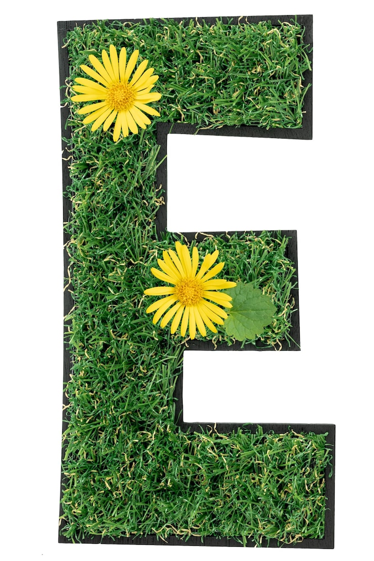 Gratis Foto letter e gemaakt van groen gras met bloemen geïsoleerd op wit