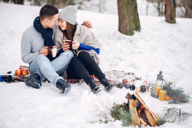 Leuk en houdend van paar in een de winterbos