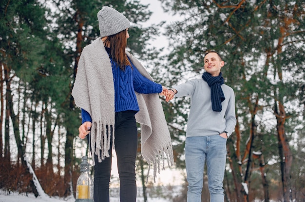 Leuk en houdend van paar in een de winterbos