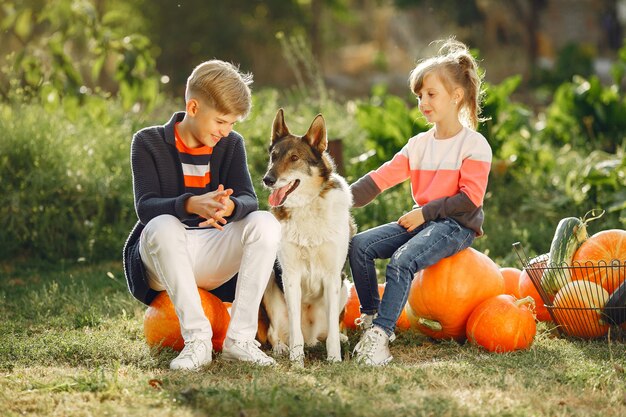 Leuke childresnzitting op een tuin dichtbij vele pompoenen