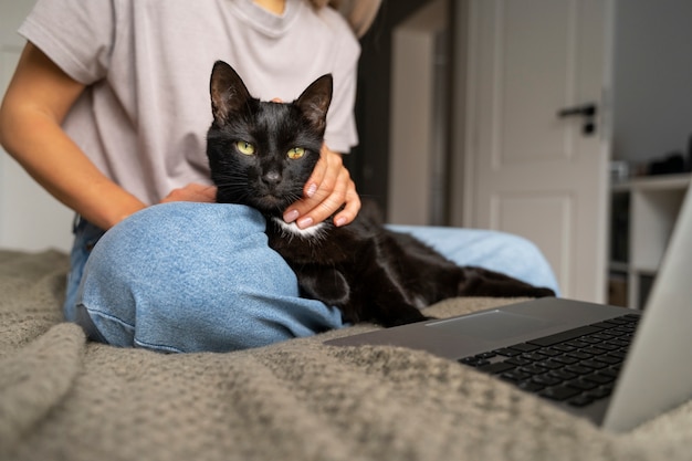 Gratis foto leuke kat die tijd doorbrengt binnen.