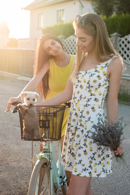 Leuke meisjes met een hond op de fiets