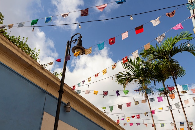 Leven in mexico landschap met palmbomen