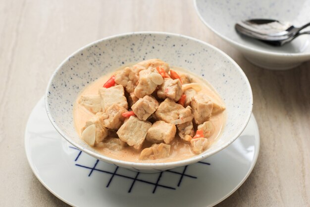 Lodeh tahu tempe, indonesische traditionele gerechten gemaakt van tofu, tempeh en kokosmelk. pittig, hartig voor elke dag (lodeh jawa)