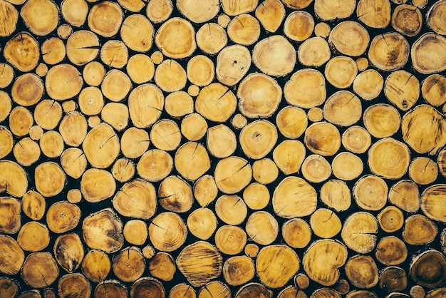 Log hout