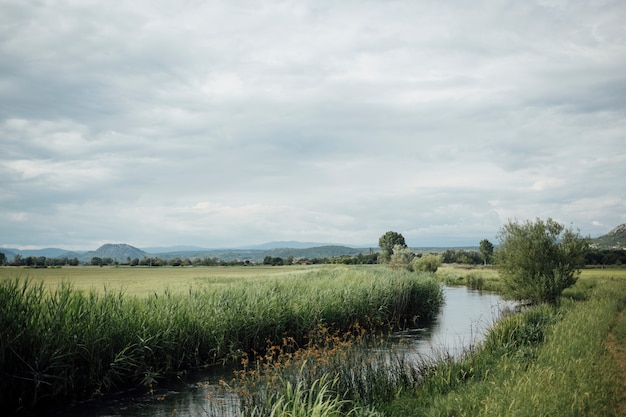 Long shot van groene weide met water stroom