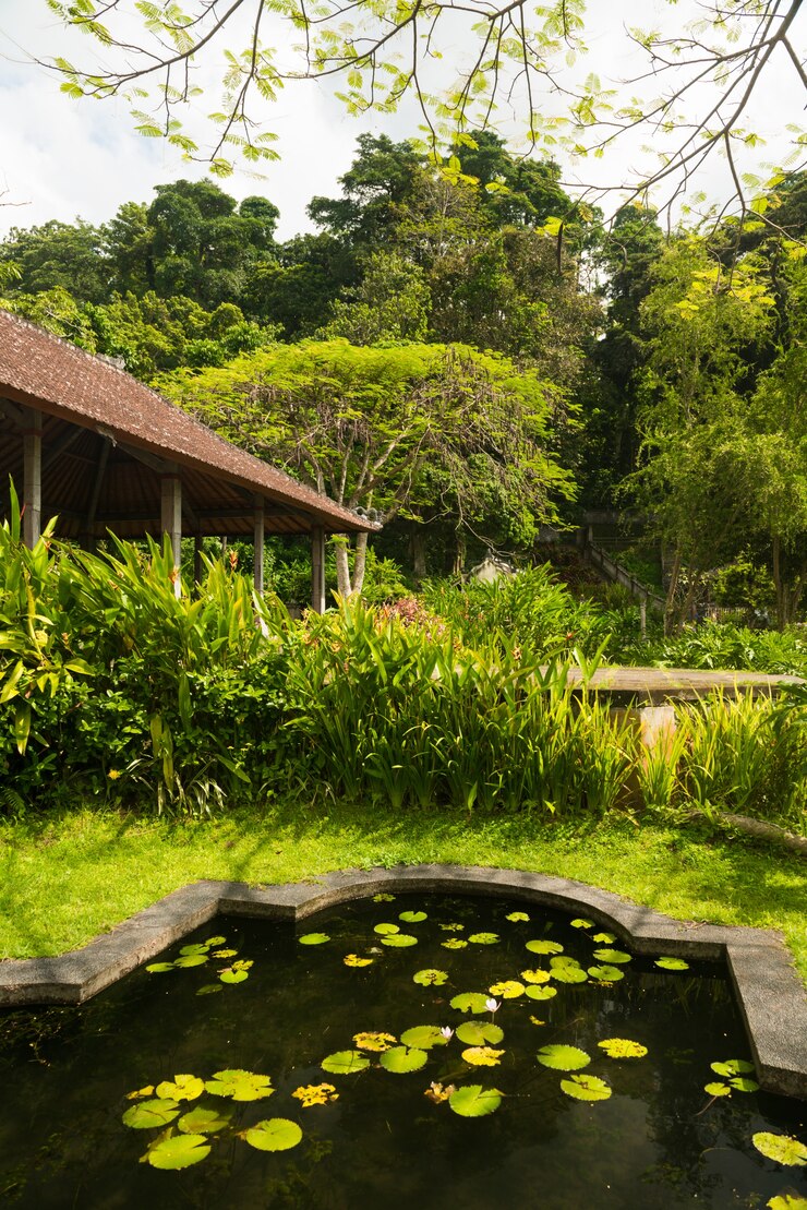 Gratis Foto lotus vijver in indonesisch park