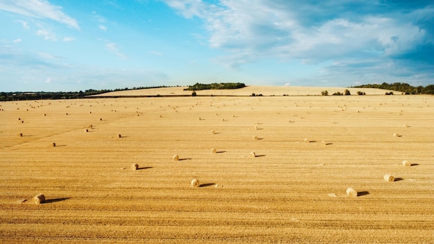 Luchtfoto drone uitzicht op de natuur in Moldavië