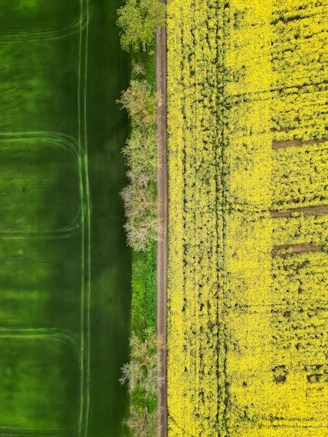Gratis foto luchtfoto drone verticale weergave van de natuur in moldavië geel gezaaid veld en groene