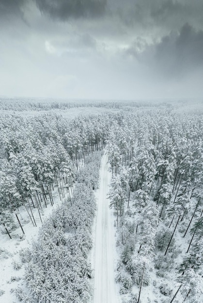 Gratis foto luchtfoto van de besneeuwde weg in het bos op een winterdag