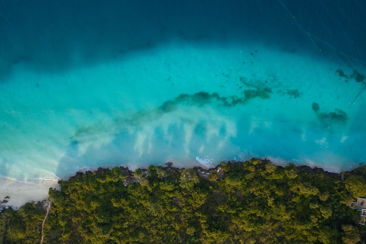 Gratis Foto luchtfoto van de kustlijn en de zeebodem van het eiland zanzibar, tanzania, afrika