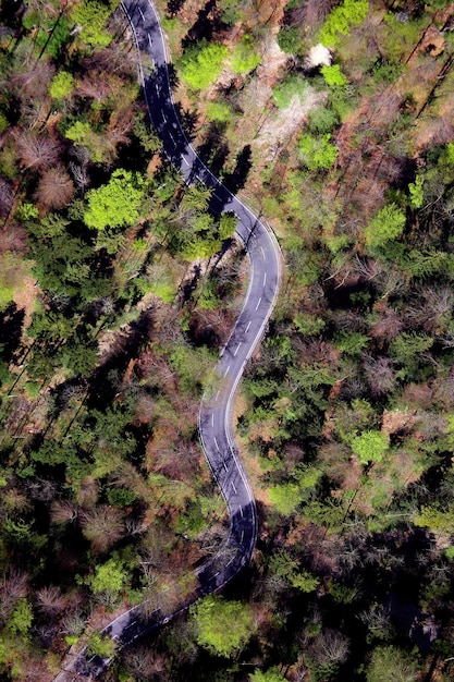 Luchtfoto van de weg in het midden van groene bomen