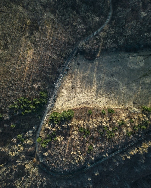 Luchtfoto van de weg omgeven door rotsen en bomen