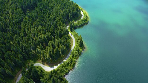 Luchtfoto van een kronkelende weg omringd door de oceaan en het dennenbos