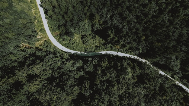 Luchtfoto van een lange weg die door dichte groene bomen leidt