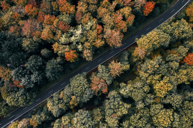 Luchtfoto van een weg omgeven door bomen in een bos