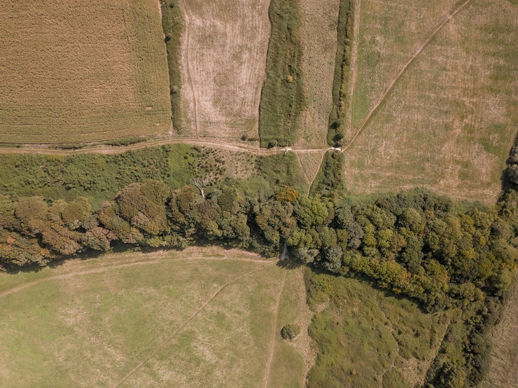 Gratis Foto luchtfoto van het landschap bij teddy bear woods, weymouth, dorset