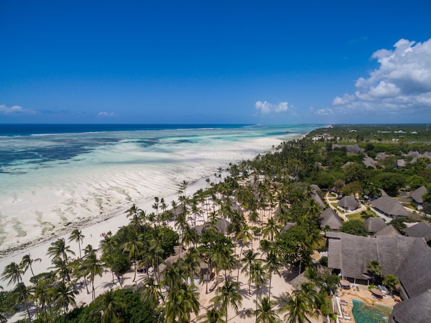 Luchtfoto van huizen door de palmbomen op het strand door de oceaan gevangen in Zanzibar, Afrika