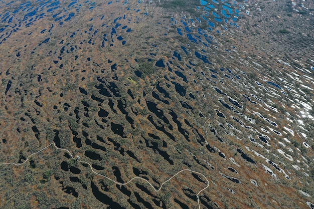 Luchtfoto van merengebied met vegetatie